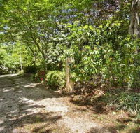 Jalscene - Tourism Caloundra