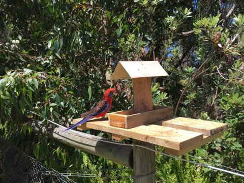 Rosella Cottage Waratah Bay - Tourism Caloundra 1