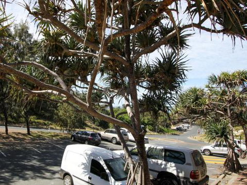 Studio 9 - Tourism Caloundra 6