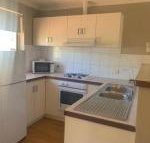 Waratah - Tourism Caloundra