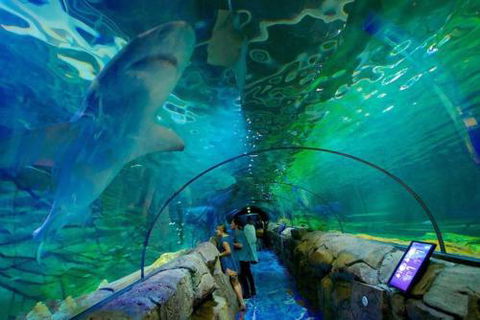 A Modern & Cozy Studio Next To Darling Harbour - Tourism Caloundra 6