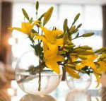 KUI Manhattan Apartments - Tourism Caloundra