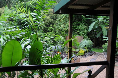 Wildwood - Tourism Caloundra 3