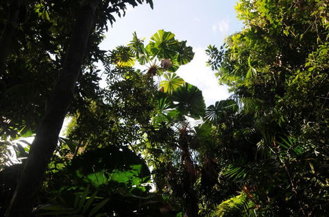 Wildwood - Tourism Caloundra 5