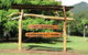 Mt Warning Holiday Park - thumb 0