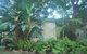 Mt Warning Holiday Park - thumb 6
