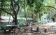 Mt Warning Holiday Park - thumb 2