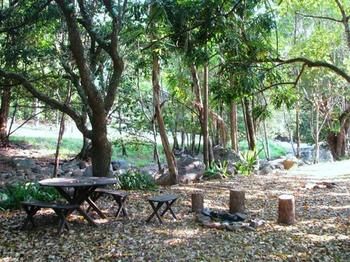 Mt Warning Holiday Park - Tourism Caloundra 2