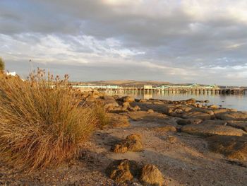 Port Lincoln Holiday Houses - Tourism Caloundra 4