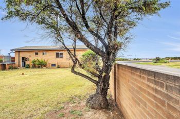 Colpetty - Tourism Caloundra 4