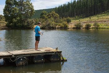 Nannup Valley Chalets - Tourism Caloundra 1