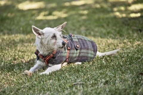 BEACH WITHIN REACH - Tourism Caloundra 4