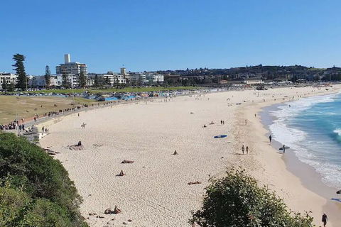 Incredible Location 2 Bedroom Bondi Beach Apartment - Tourism Caloundra 1