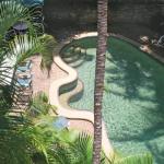 Palms Trinity Beach - Tourism Caloundra 0