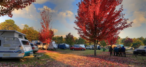 Beechworth Lake Sambell Caravan Park - Tourism Caloundra 3