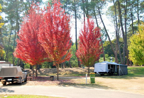 Beechworth Lake Sambell Caravan Park - Tourism Caloundra 1