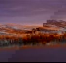 Wombat Hills Cottages - Tourism Caloundra