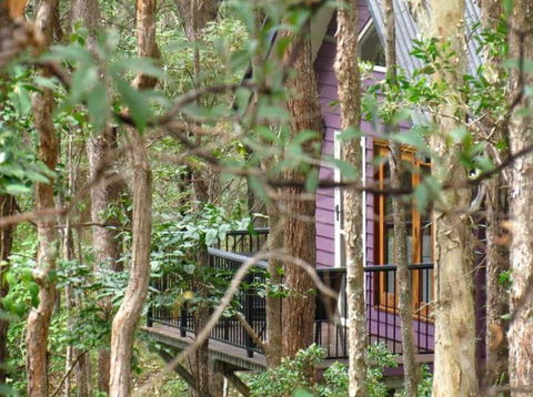 Amytis Gardens Retreat & Day Spa - Tourism Caloundra 1