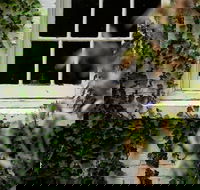 Fitzpatrick's Inn - Tourism Caloundra