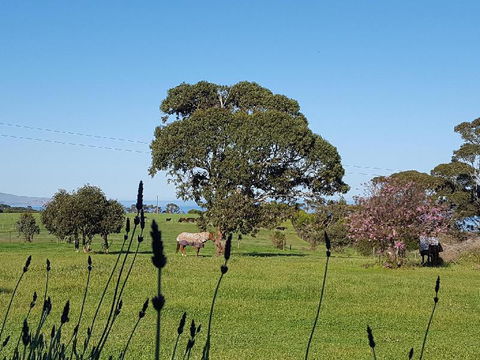 Dees Villa Bed & Breakfast - Tourism Caloundra 6