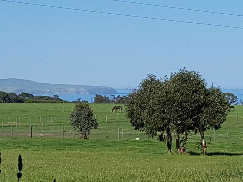 Dees Villa Bed & Breakfast - Tourism Caloundra 4