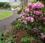 Anabels of Scottsdale - Tourism Caloundra