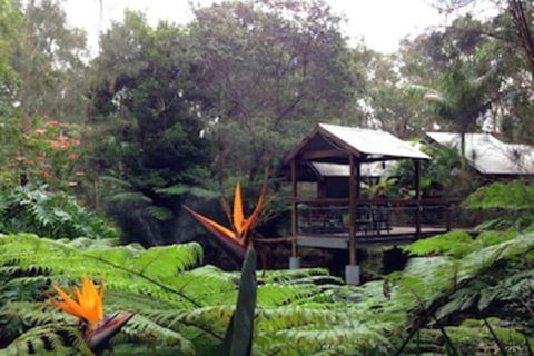 The Oasis At One Mile Beach - Tourism Caloundra 2