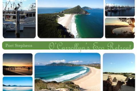 The Oasis At One Mile Beach - Tourism Caloundra 5