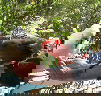 Lorne Bush House Cottages  Eco Retreats - Tourism Caloundra