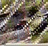 Qdos Arts - Tourism Caloundra