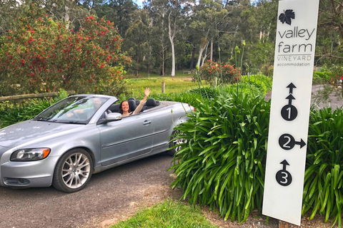 Valley Farm Vineyard Cottages - Tourism Caloundra 0