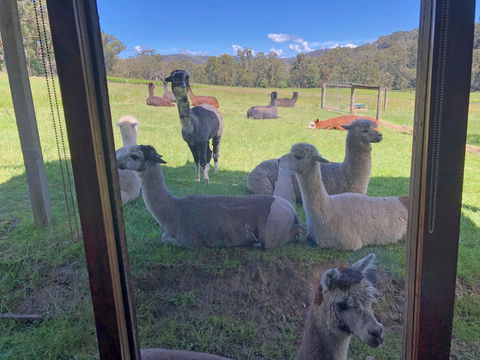 Valley Farm Vineyard Cottages - Tourism Caloundra 2