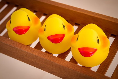 Margate Cottage Boutique Bed & Breakfast - Tourism Caloundra 5