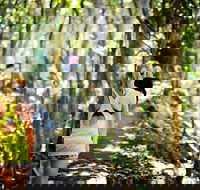 Cashelmara Beachfront Apartments - Tourism Caloundra