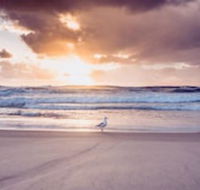 Blue Waters Motel - Tourism Caloundra