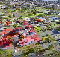 Pelicans Albany - Tourism Caloundra