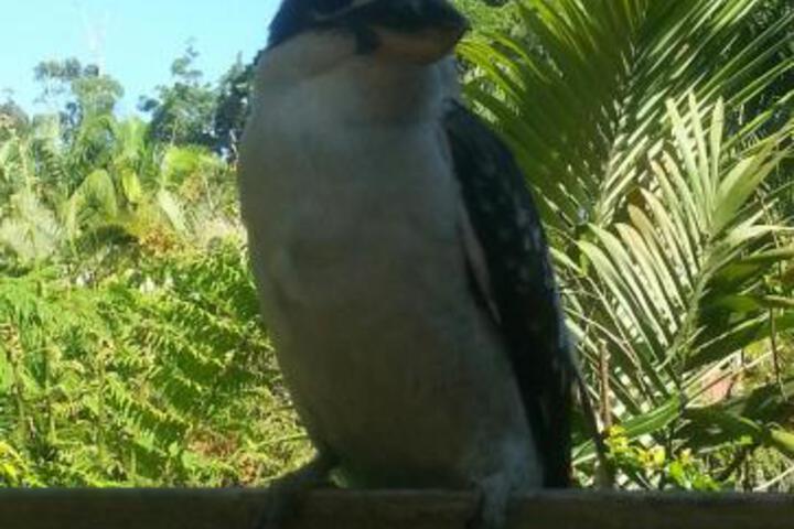 Moonee Beach NSW Tourism Caloundra