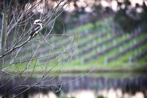 Bettenays Margaret River - Tourism Caloundra 4