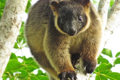 Mt Quincan Crater Retreat - Tourism Caloundra 2
