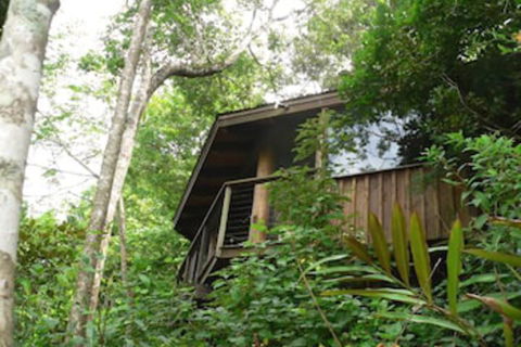 Mt Quincan Crater Retreat - Tourism Caloundra 5