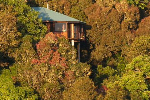 Mt Quincan Crater Retreat - Tourism Caloundra 4