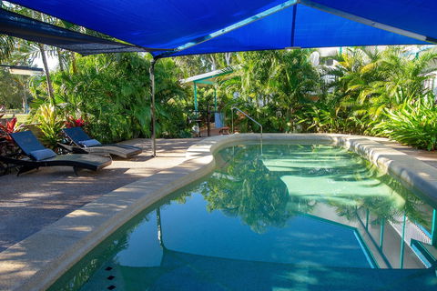 Tropical Palms - Tourism Caloundra 4