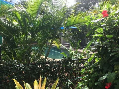 Tropical Palms - Tourism Caloundra 2