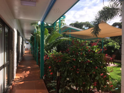 Tropical Palms - Tourism Caloundra 0