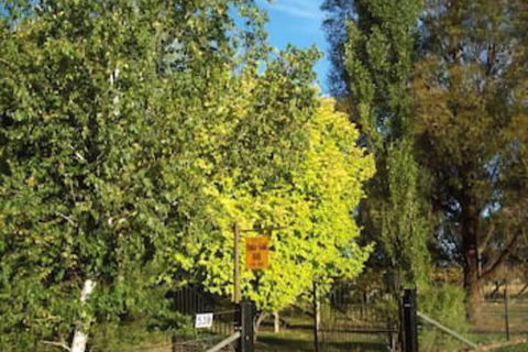 Ophir Gold Bed & Breakfast - Tourism Caloundra 2