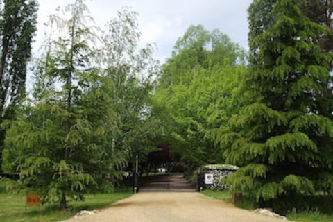 Ophir Gold Bed & Breakfast - Tourism Caloundra 0