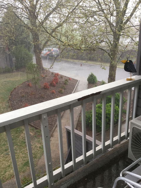 Alloggio Bathurst Apartments - Tourism Caloundra 6