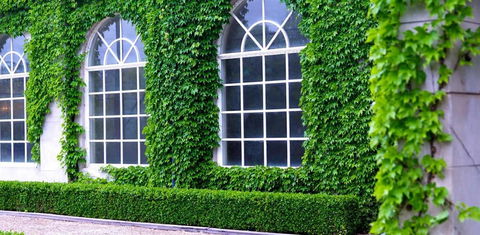 Milton Park Country House Hotel & Spa - Tourism Caloundra 0