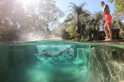 Samurai Beach Bungalows Port Stephens YHA - Tourism Caloundra 3