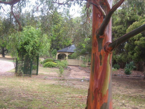 Golden Hills Motel - Tourism Caloundra 6